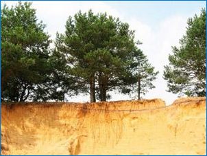 Какво е пясъчна почва и какво се различава от пясъка?