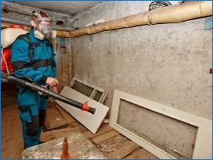 Как да премахнете бълхи в мазето у дома?