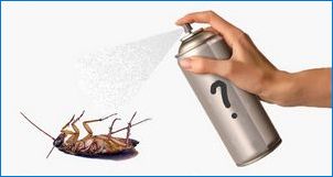 Какви са хлебарки и как да се отървете от тях?