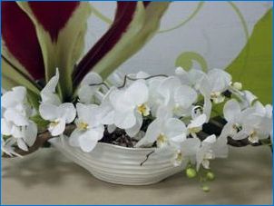 Orchid композиции в интериора