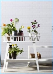 IKEA означава цветя: функции, видове и съвети за избор