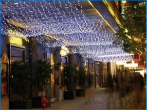LED устойчиви на замръзване Street Garlands: Характеристики и видове