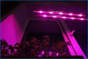 Видове флуоресцентни лампи за растения и съвети по техен избор