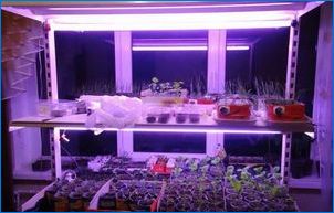 Видове флуоресцентни лампи за растения и съвети по техен избор