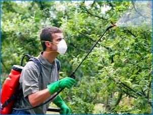 Сортовете на рак на ябълкови дървета и методи за борба с болестите