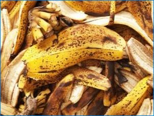 Бананови хас тор: описание и методи за готвене