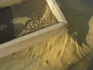 Всичко за пясъчните кутии с покрива