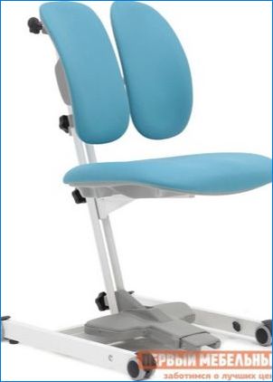Ортопедични компютърни столове: Видове и класиране на най-добрите