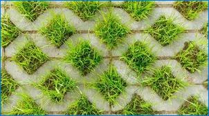 Решетки на тревни площи: функции, разновидности и съвети за избор