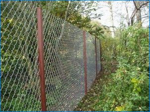 Мрежа за оградата: Видове и характеристики на избор