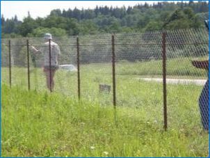 Мрежа за оградата: Видове и характеристики на избор