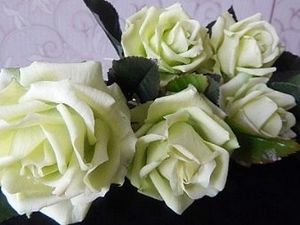 Зелени рози: характеристики и описания на сортове