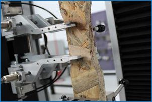 Какви механични свойства са дървесината?