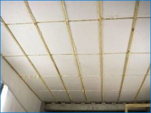 Субтитс процеси изолационен таван