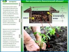 Оранжерии за разсад: видове и техните характеристики