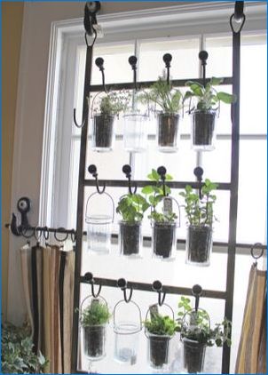 Оранжерии на первазацията и балкона: опции за домашно приготвени оранжерии