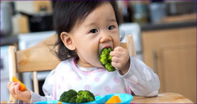 Менюто за бебе на 1 година и 3 месеца: грубо ръководство за бебешка храна