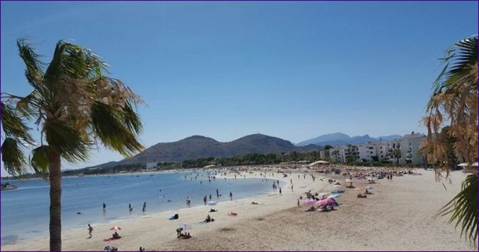 Playa Alcudia