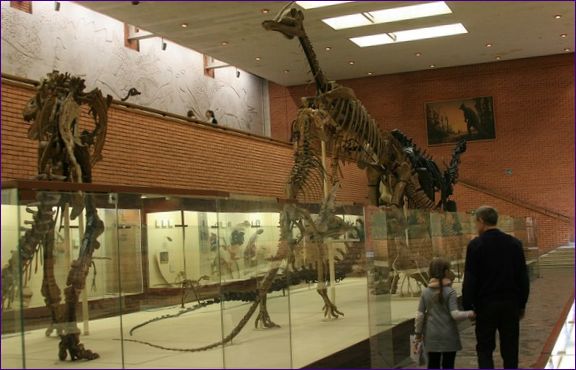 Палеонтологичен музей 