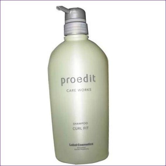 LEBEL COSMETICS PROEDIT CARE WORKS CURL FIT