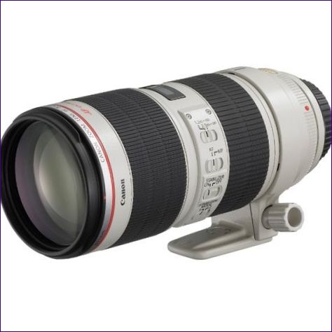 Canon EF70-200mm f/2.8</p><li></div><p>S IIUSM