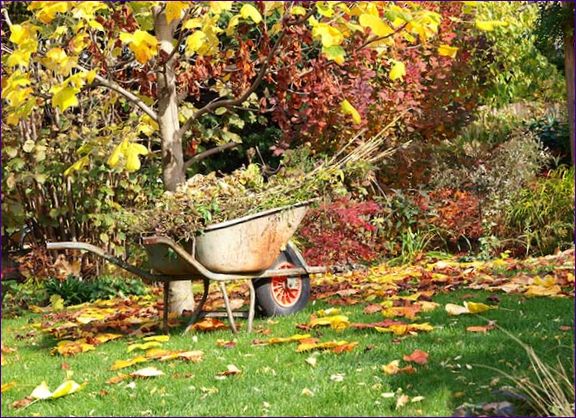 Есенни задължения в градината: какво трябва да се направи