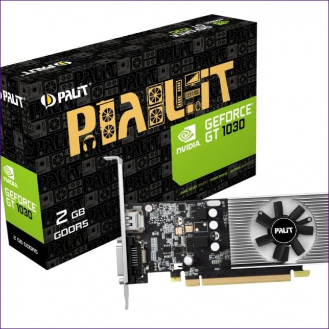 Pa</p> <li></div> <p>t GeForce GT 1030 2GB (NE5103000646-1080F