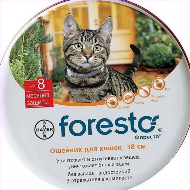 Forresto (Bayer) за котки 38 cm