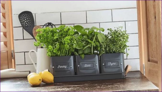 Мини зеленчукови градини в апартамента